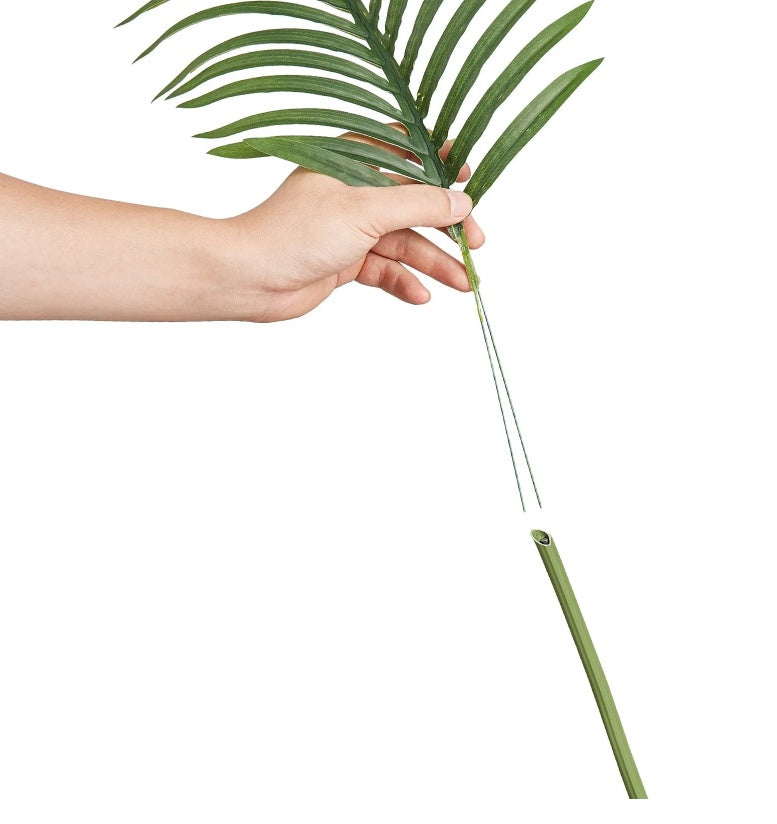 Premium Indoor Tree - Gold Cane Palm