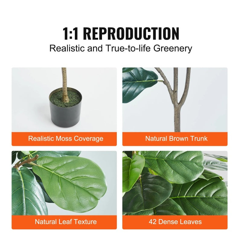 Premium Indoor Tree - Fiddle Leaf Fig