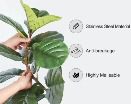 Premium Indoor Tree - Fiddle Leaf Fig